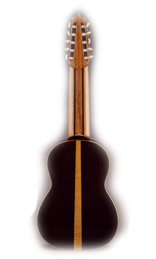 Guitarra de 10 Cuerdas Trasera
